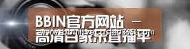 公司动态