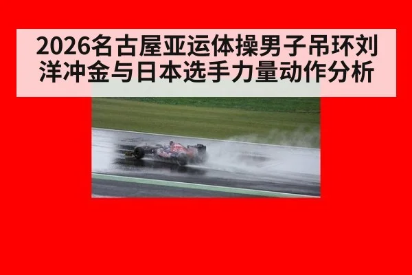 2026名古屋亚运体操男子吊环刘洋冲金与日本选手力量动作分析