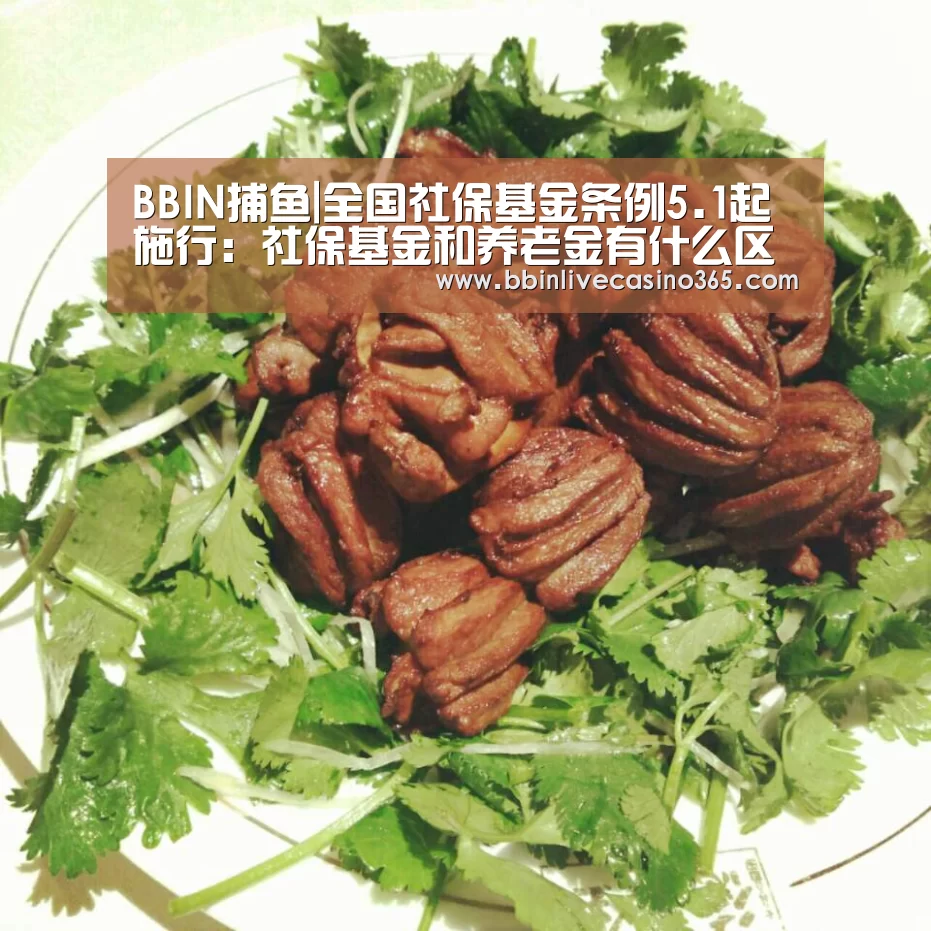 BBIN捕鱼